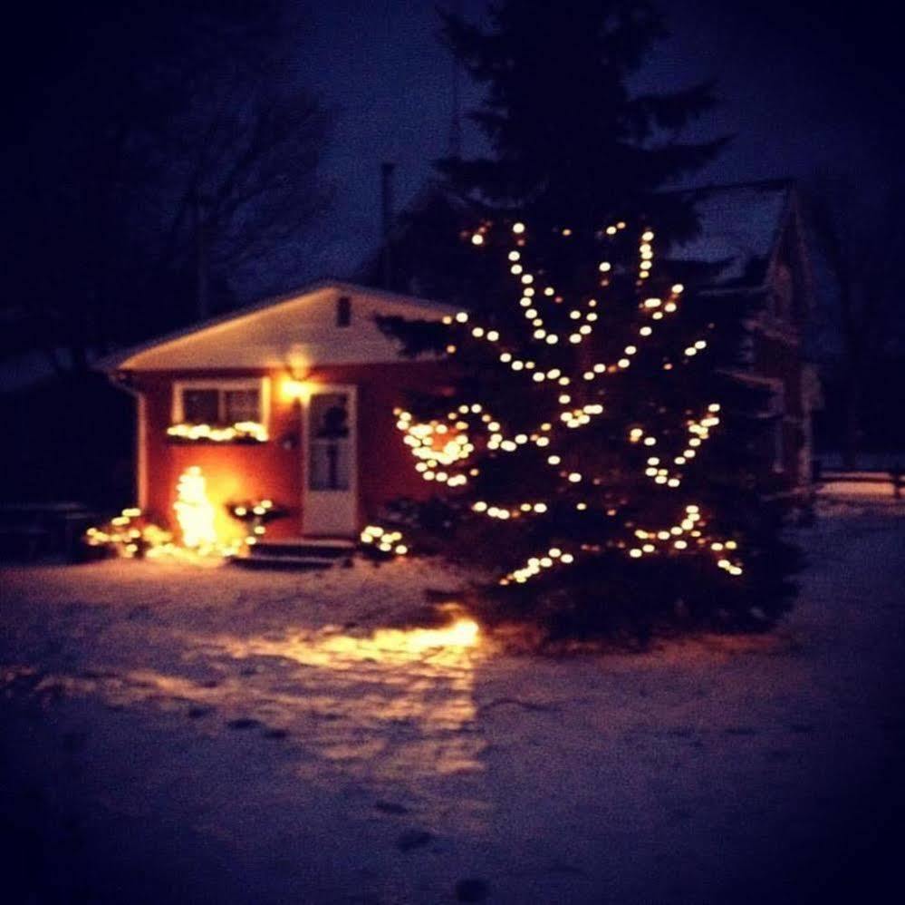 Emily'S Place B&B Creemore ภายนอก รูปภาพ