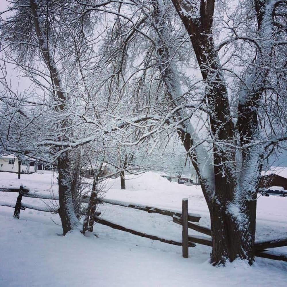 Emily'S Place B&B Creemore ภายนอก รูปภาพ