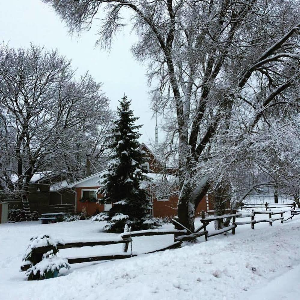 Emily'S Place B&B Creemore ภายนอก รูปภาพ